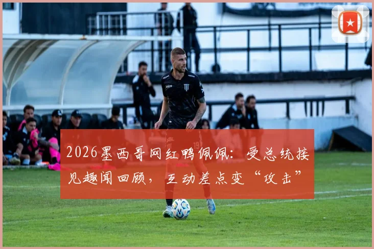 2026墨西哥网红鸭佩佩：受总统接见趣闻回顾，互动差点变“攻击”事件全解析