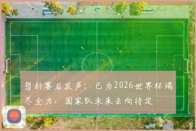 哲科赛后发声：已为2026世界杯竭尽全力，国家队未来去向待定